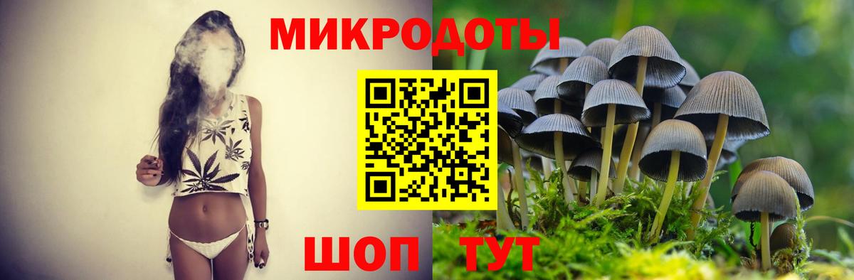 Псилоцибиновые грибы мухоморы Новодвинск